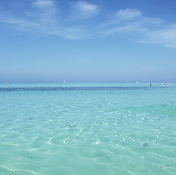 Meet your Posher, Rita - Picture 1 of 1